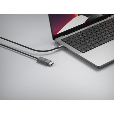 LINQ Connects USB-C naar Display Port Kabel (8K/60Hz) - 2 meter - zwart