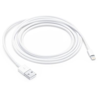 Apple USB-A to USB-C Kabel 2m