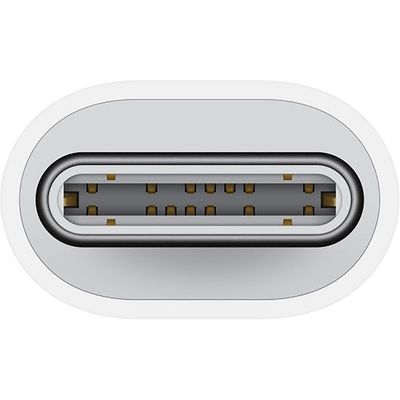 Apple Usb C to Lightning Adapter